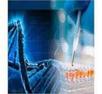 Molecular Biology and Genetics